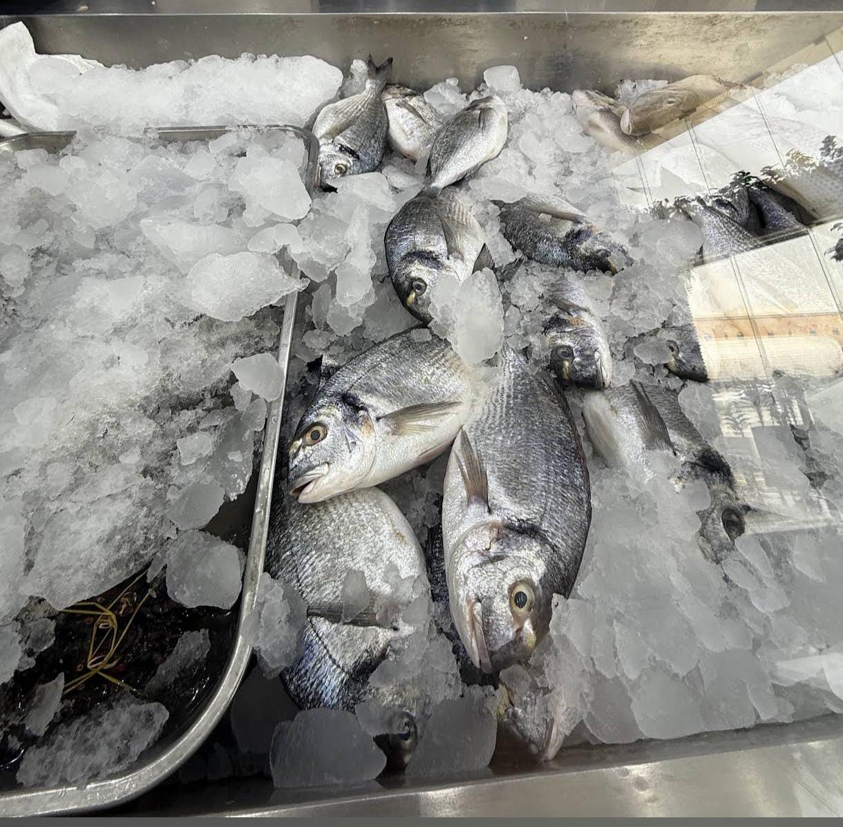 Fish and shrimp platter